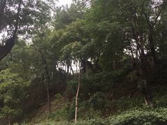 -重庆平顶山公园