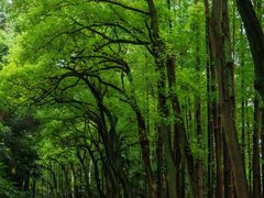 -采石矶景区