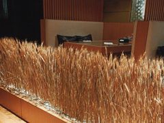 -西村日本料理(香格里拉饭店)