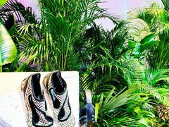 -精绝七日-新疆尼雅遗址数字大展【拉法耶文化艺术中心】