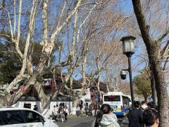 -楼外楼(西湖景区孤山路店)