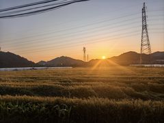-李东农庄(中南百草园地标店)