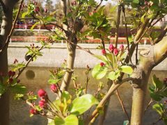 -元大都城垣遗址公园