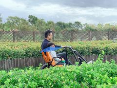 -季高兔窝窝亲子园(上海薰衣草公园店)