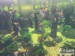 -南昌海洋公园
