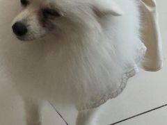 -怪兽屋·羊驼·猫咖·狗咖(俊华广场店)
