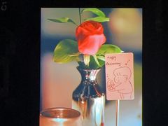 -弦月窗LUNETTE BY AMANDA(复兴路店)