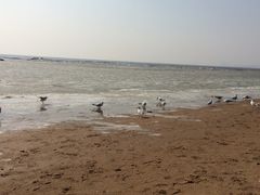 -老虎石海上公园