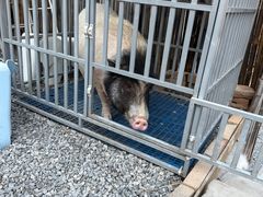 -小时光咖啡馆(开森度假森林店)