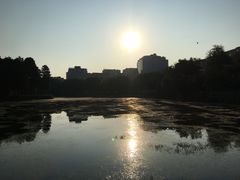 -广州都市观光巴士(粤陶巴)