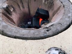 -鸿渡渔庄·特色鸭咀鱼