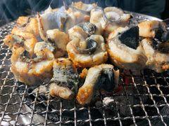 吉力烤鳗鱼-吉力烤鳗