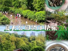 -重庆彩云湖湿地公园