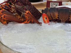 -聚龙酒家(富豪花园店)