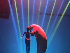 -芜湖新华联大白鲸海洋公园