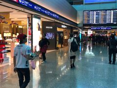 -升恒昌免税商店(桃园国际机场店)