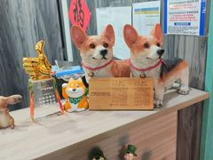 -严国平动物医院(德政总院)