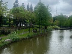 -映月湖公园