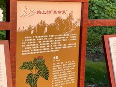 -广西壮族自治区药用植物园