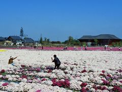 -中国天府农业博览园