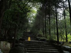 -周口店北京人遗址公园