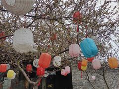 -春风习习