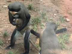 -石家庄市动物园