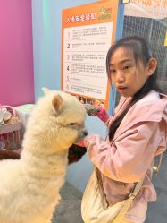-神奇动物撸宠馆·羊驼·小浣熊·异宠(豫园店)