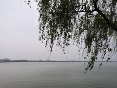 -上海旅游集散中心(万体站)