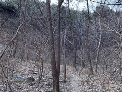 -北京鹫峰国家森林公园