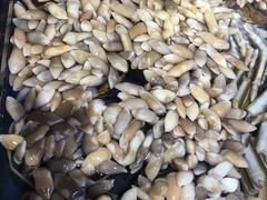 大竹蛏-盒马鲜生(莱蒙都会店)