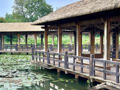 -白鹭湾湿地公园