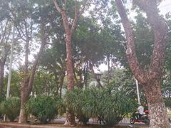 -西秀海滩公园
