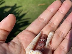 -三亚亚龙湾雅高美爵酒店