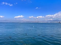 -大理洱海