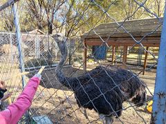 -长白岛森林公园