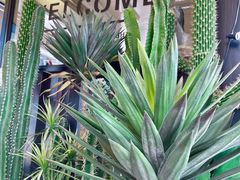 -HIHE Bistro·Oyster Bar(华熙live店)