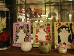 -猫咪博物馆(顶澳仔猫街店)