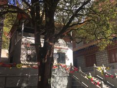 -孟屯河谷景区