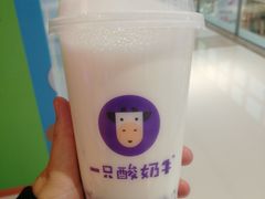 -一只酸奶牛(双流万达广场店)