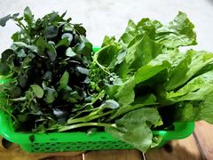 -鸿渡渔庄·特色鸭咀鱼