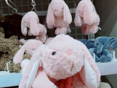 -NITORI 宜得利家居(上海金桥啦啦宝都店)
