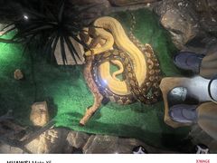 -广州长隆旅游度假区