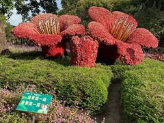 -广州市流溪河国家森林公园