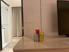 -国际青年会议酒店
