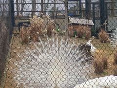 -武汉动物园