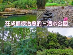 -成都市活水公园
