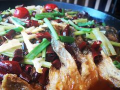 -老板恋上鱼(恒隆广场店)