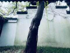 -孔氏南宗家庙