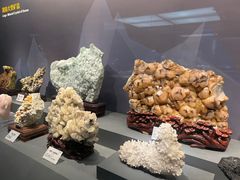 -湖南省地质博物馆